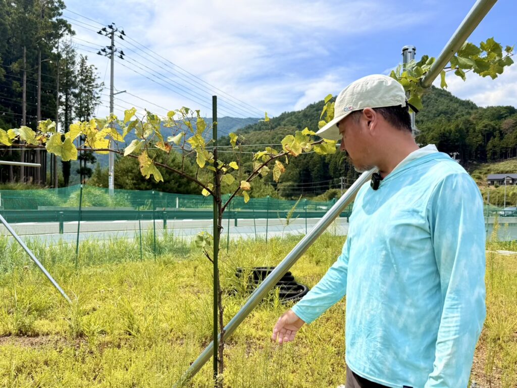 油井元太郎さん(MORIUMIUS代表)。取材時の様子