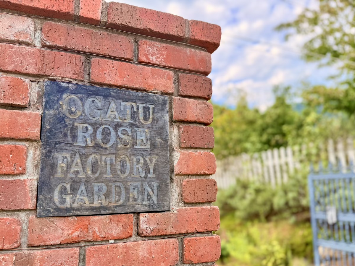 雄勝ローズファクトリーガーデン