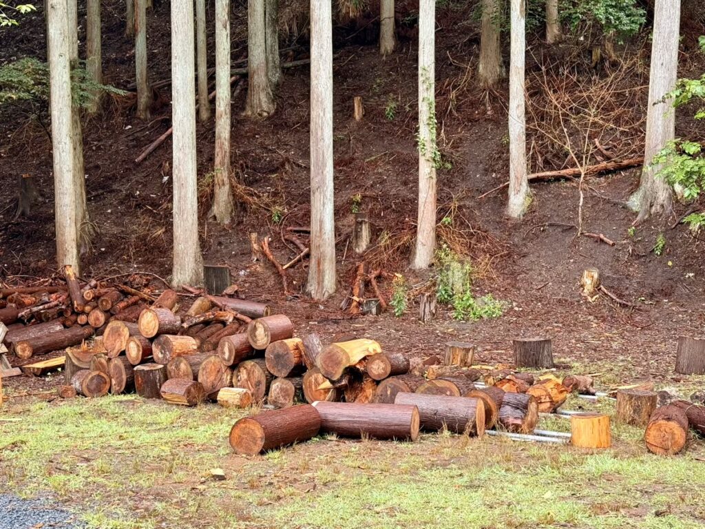 MORIUMIUS(旧桑浜小学校)薪