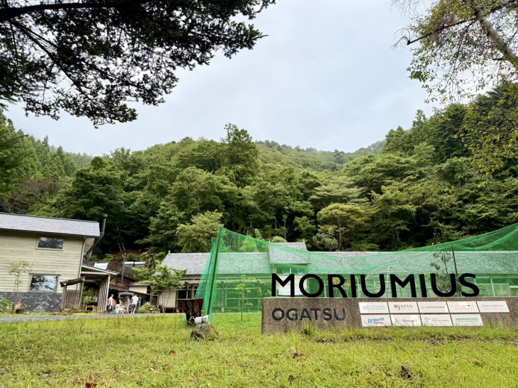 MORIUMIUS(旧桑浜小学校)入口