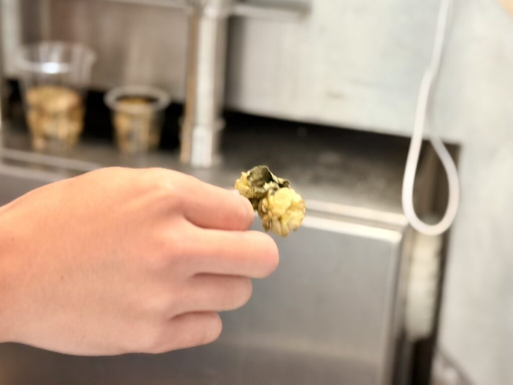 NUMBER NINE BREWERY(ホップ)