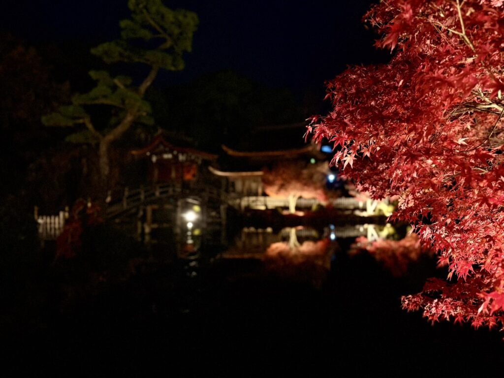 虎渓山永保寺の紅葉ライトアップ