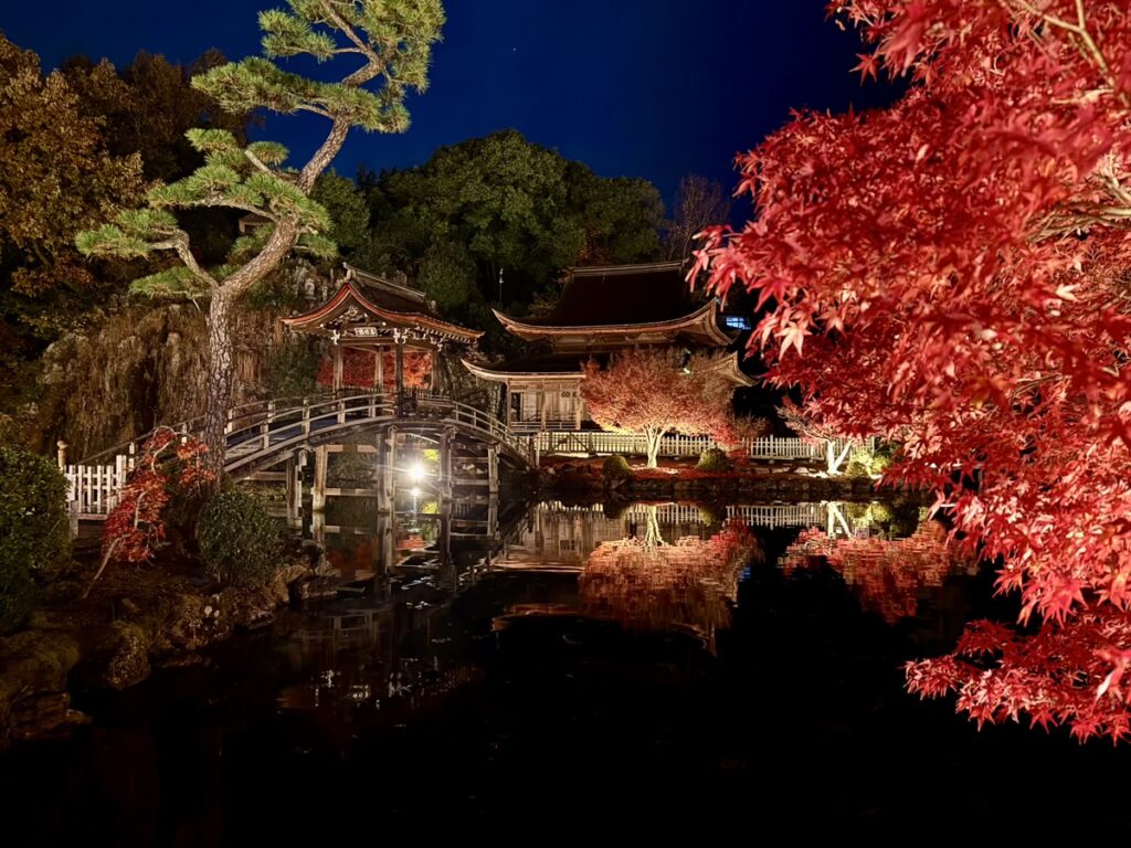 虎渓山永保寺の紅葉ライトアップ