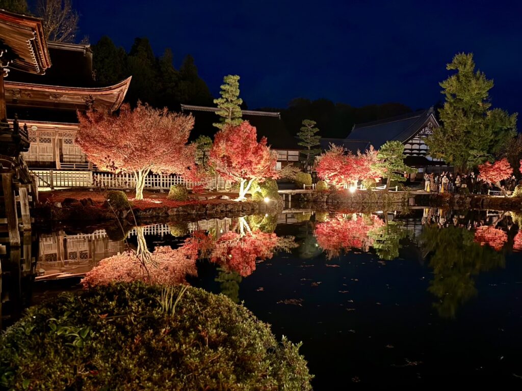 虎渓山永保寺の紅葉ライトアップ