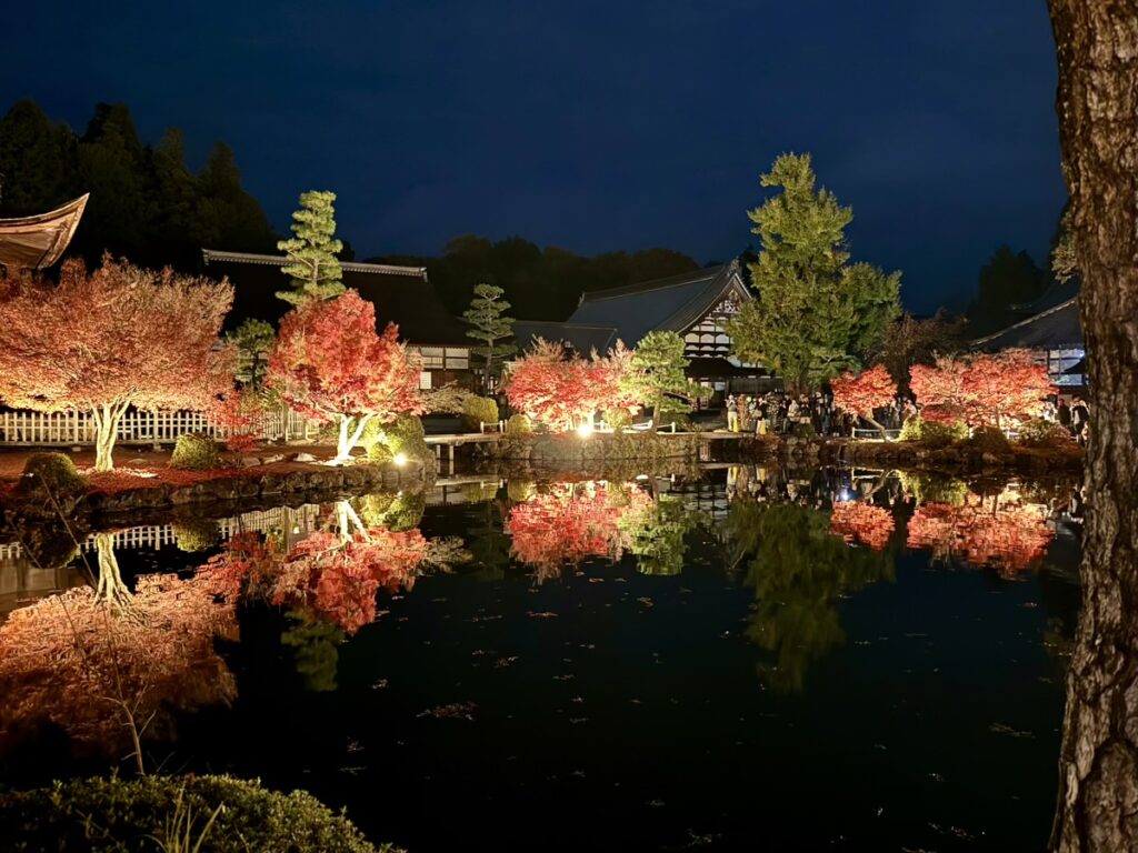 虎渓山永保寺の紅葉ライトアップ