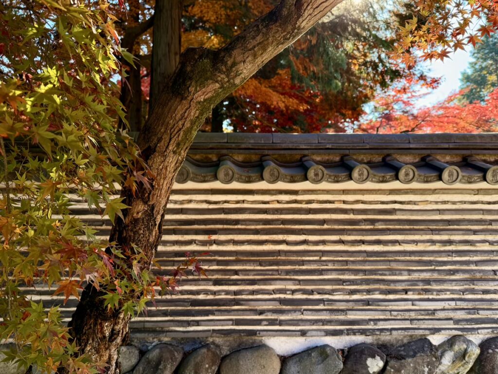 昼間の虎渓山永保寺の境内