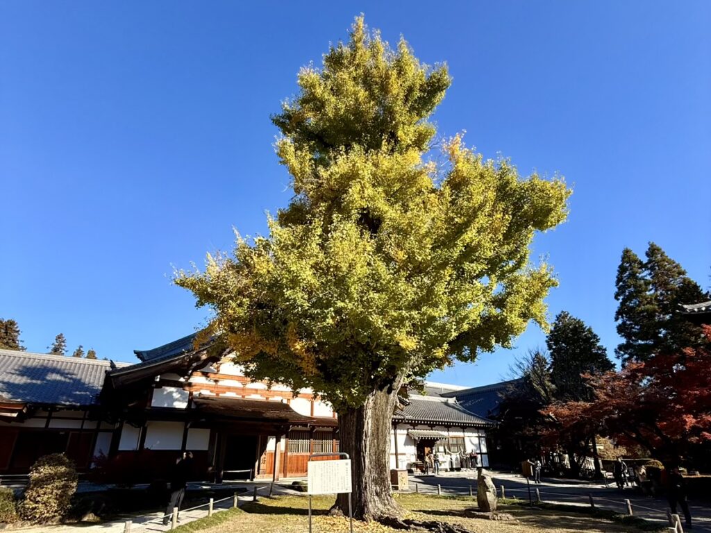 昼間の虎渓山永保寺の境内