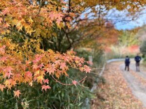 森とふれあうワークショップ 森への道