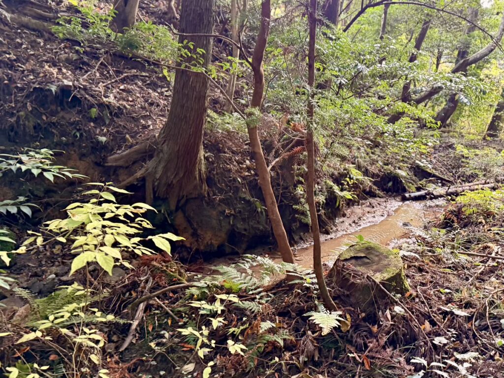 森とふれあうワークショップ 森の中の沢