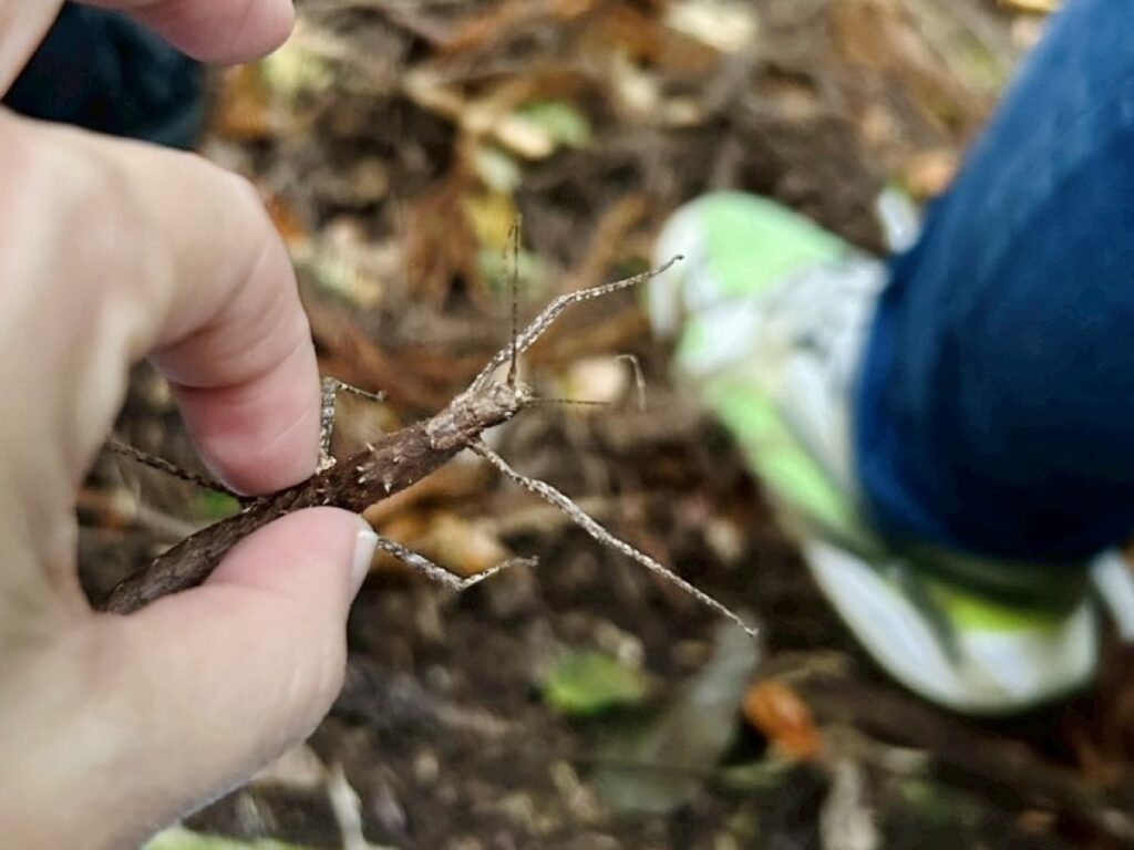 森とふれあうワークショップ 森の中