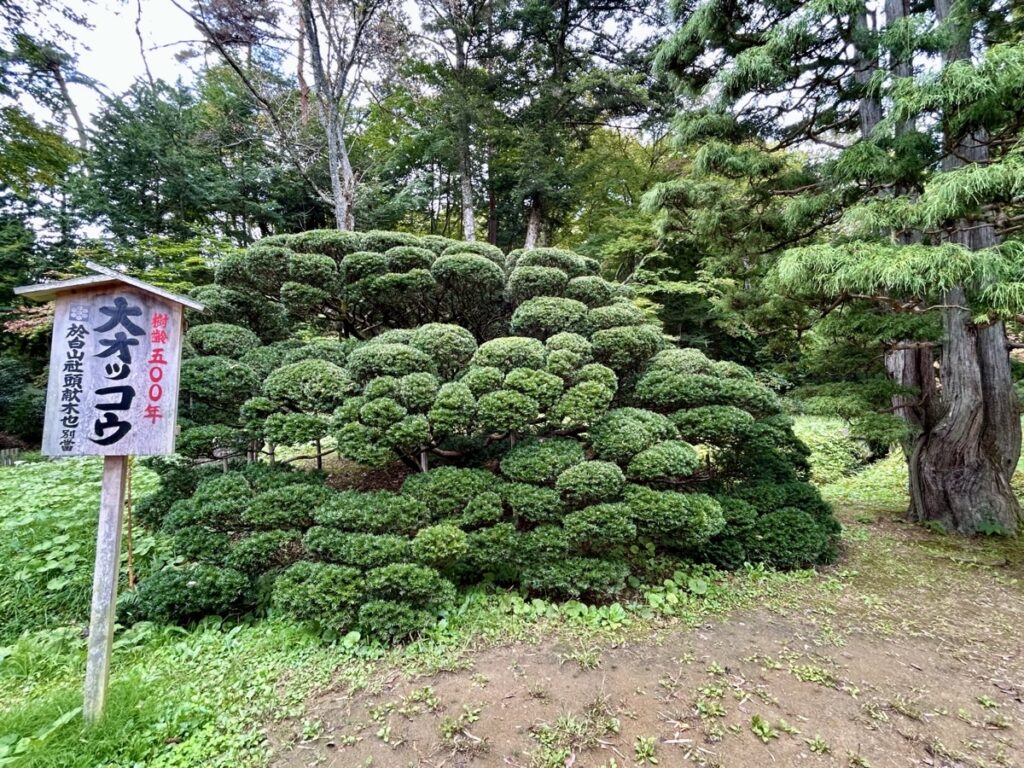 達谷窟毘沙門堂 大オッコウ