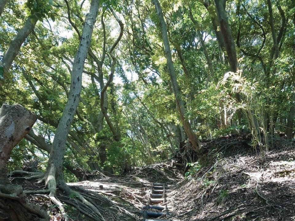 【福岡】＜縁をたどる＞糸島― 韓の祈りと可也山、スナックで乾杯 ―（地元ガイド付）
